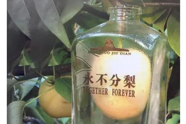 高铁站喝一瓶五粮液高铁站内的五粮液体验，品味与旅途的完美融合